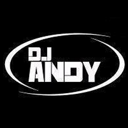 Andy's Mobile DJ Services Melbourne