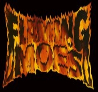The Flaming Moes Cover Band Melbourne